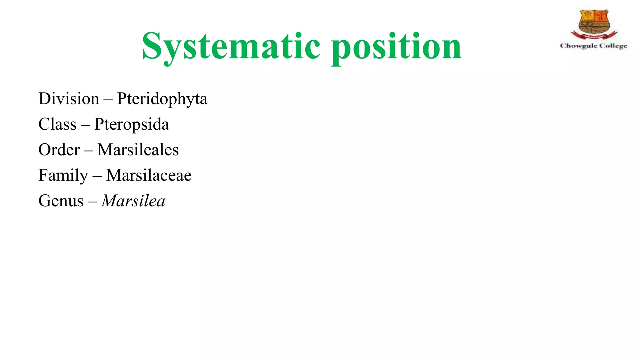 Structure, reproduction, life history and systematic position of ...