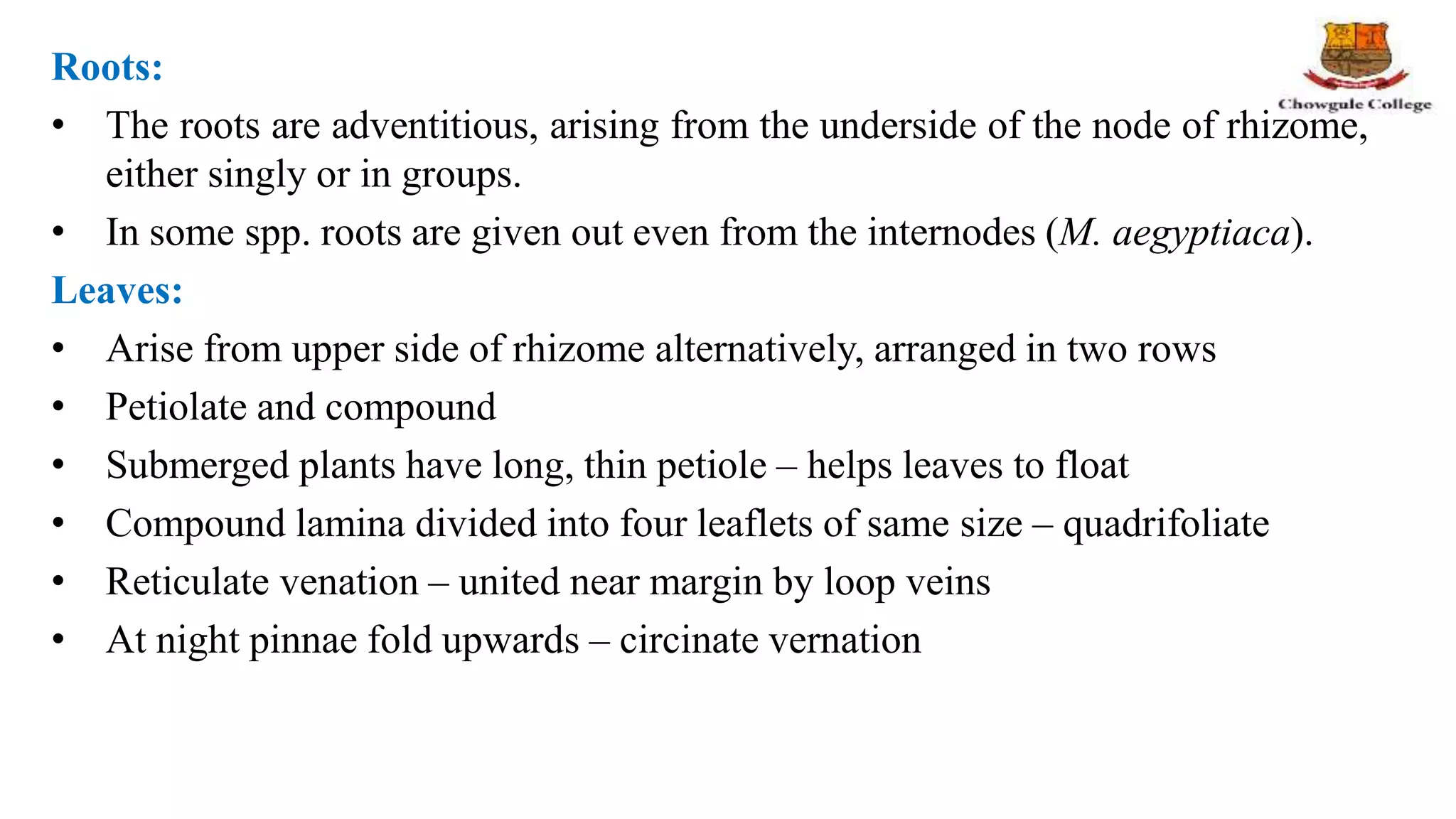 Structure, reproduction, life history and systematic position of ...