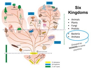 Six
Kingdoms
• Animals
• Plants
• Fungi
• Protists
• Bacteria
• Archaea
6
 