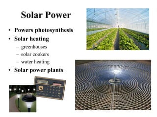 Solar Power
• Powers photosynthesis
• Solar heating
– greenhouses
– solar cookers
– water heating
• Solar power plants
 