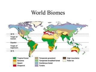 World Biomes
 