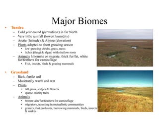 • Tundra
– Cold year-round (permafrost) in far North
– Very little rainfall (lowest humidity)
– Arctic (latitude) & Alpine (elevation)
– Plants adapted to short growing season
• low-growing shrubs, grass, moss
• lichen (fungi & algae) with shallow roots
– Animals hibernate or migrate, thick fur/fat, white
fur/feathers for camouflage
• Fish, insects, birds & grazing mammals
• Grassland
– Rich, fertile soil
– Moderately warm and wet
– Plants
• tall grass, sedges & flowers
• sparse, stubby trees
– Animals
• brown skin/fur/feathers for camouflage
• migratory, traveling in mutualistic communities
• grazers, fast predators, burrowing mammals, birds, insects
& snakes
Major Biomes
 