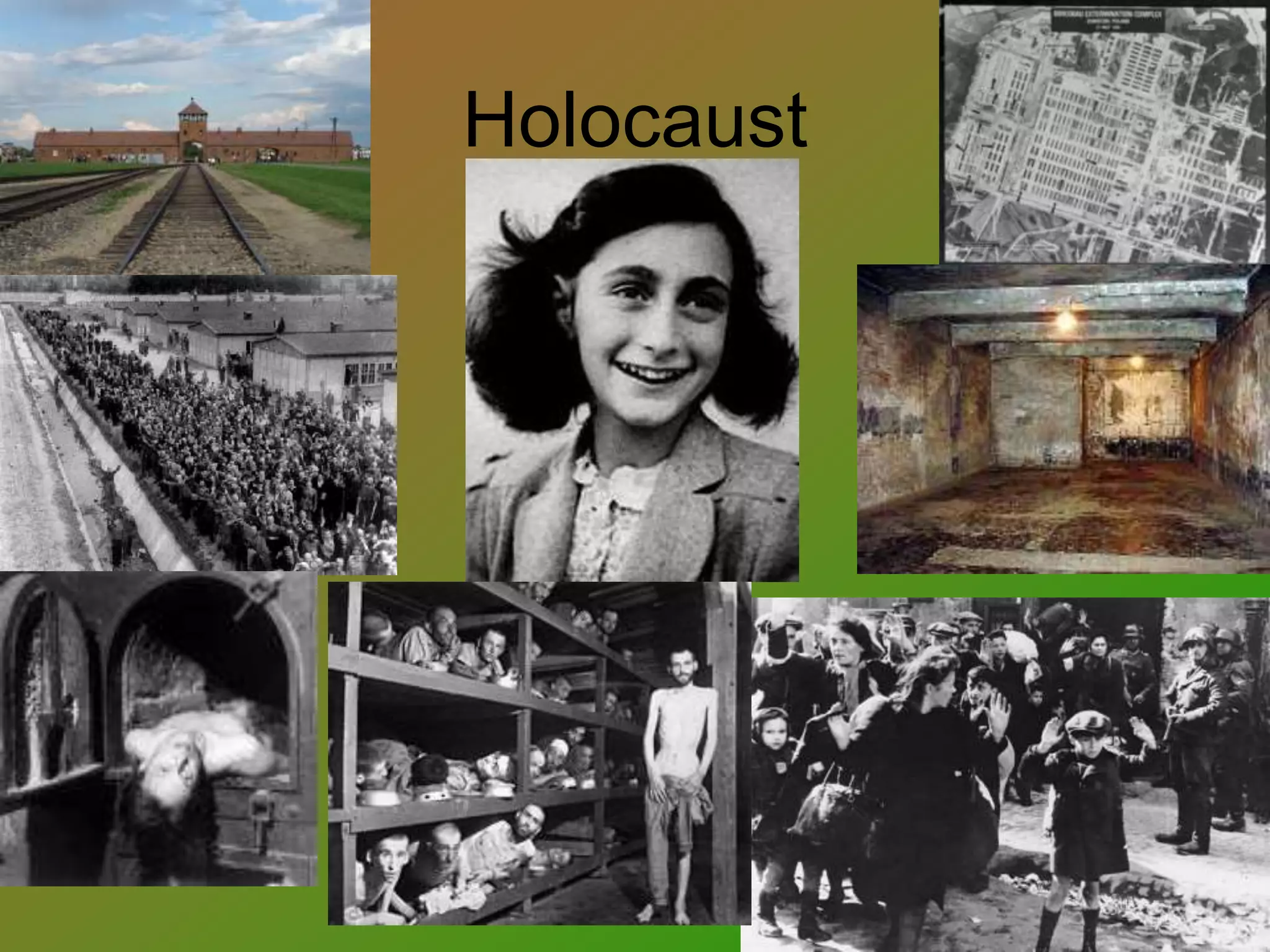 Holocaust
 