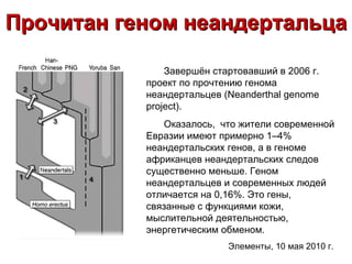 Прочитан геном неандертальца Завершён стартовавший в 2006 г. проект по прочтению генома неандертальцев (Neanderthal genome project).  Оказалось,  что жители современной Евразии имеют примерно 1–4% неандертальских генов, а в геноме африканцев неандертальских следов существенно меньше. Геном неандертальцев и современных людей отличается на 0,16%. Это гены, связанные с функциями кожи, мыслительной деятельностью, энергетическим обменом. Элементы, 10 мая 2010 г.   