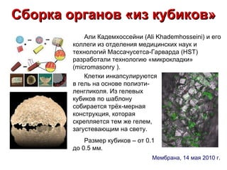 Сборка органов «из кубиков» Али Кадемхоссейни (Ali Khademhosseini) и его коллеги из отделения медицинских наук и технологий Массачусетса-Гарварда (HST) разработали технологию «микрокладки» (micromasonry ). Клетки инкапсулируются в гель на основе полиэти-ленгликоля. Из гелевых кубиков по шаблону собирается трёх-мерная конструкция, которая скрепляется тем же гелем, загустевающим на свету. Размер кубиков – от 0.1 до 0.5 мм. Мембрана, 14 мая 2010 г. 