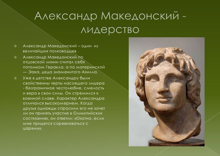 Шкода человек это