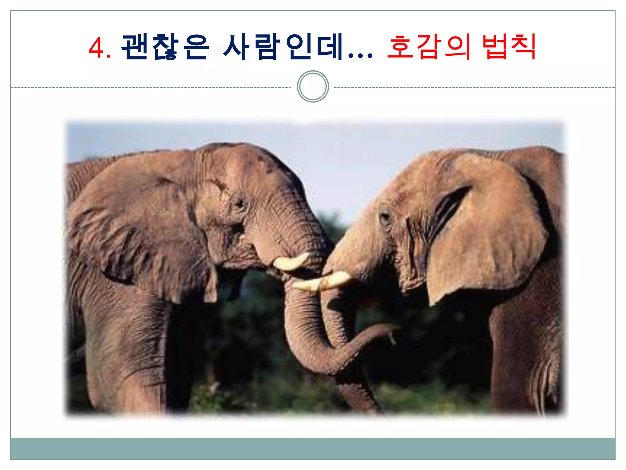 4. 괜찮은 사람인데… 호감의 법칙
 