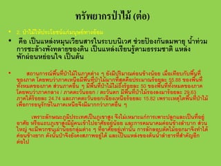 ทรัพยากรป่ าไม้ (ต่ อ)
• 2. ป่ าไม้ ให้ ประโยชน์ แก่ มนุษย์ ทางอ้ อม

• คือ เป็ นแหล่ งหมุนเวียนสารในระบบนิเวศ ช่ วยปองกันลมพายุ นําท่ วม
้
้
การชะล้ างพังทลายของดิน เป็ นแหล่ งเรี ยนรู้ ตามธรรมชาติ แหล่ ง
พักผ่ อนหย่ อนใจ เป็ นต้ น
•

สถานการณ์ พนที่ป่าไม้ ในภาคต่ าง ๆ ยังมีปริมาณค่ อนข้ างน้ อย เมื่อเทียบกับพืนที่
ื้
้
ของภาค โดยพบว่ าภาคเหนือมีพนที่ป่าไม้ มากที่สุดคือประมาณร้ อยละ 55.88 ของพืนที่
ื้
้
ทังหมดของภาค ส่ วนภาคอื่น ๆ มีพนที่ป่าไม้ ไม่ ถงร้ อยละ 50 ของพืนที่ทงหมดของภาค
้
ื้
ึ
้ ั้
โดยพบว่ าภาคกลาง / ภาคตะวันออก / ตะวันตก มีพนที่ป่าไม้ รองลงมาร้ อยละ 29.63
ื้
ภาคใต้ ร้อยละ 24.74 และภาคตะวันออกเฉียงเหนือร้ อยละ 15.82 เพราะเหตุใดพืนที่ป่าไม้
้
เพื่อการอนุรักษ์ ในภาคเหนือจึงมีมากกว่ าภาคอื่น ๆ
เพราะลักษณะภูมประเทศเป็ นภูเขาสูง จึงไม่ เหมาะแก่ การเพาะปลูกและเป็ นที่อยู่
ิ
อาศัย หรือแถบภูเขาสูงมีผ้ ูคนเข้ าไปอาศัยอยู่น้อย และการคมนาคมค่ อนข้ างลําบาก ส่ วน
ใหญ่ จะมีพวกชนเผ่ าน้ อยกลุ่มต่ าง ๆ ที่อาศัยอยู่เท่ านัน การลักลอบตัดไม้ ออกมาจึงทําได้
้
ค่ อนข้ างยาก ดังนันป่ าจึงยังคงสภาพอยู่ได้ และเป็ นแหล่ งของต้ นนําลําธารที่สาคัญอีก
้
้
ํ
ต่ อไป

 