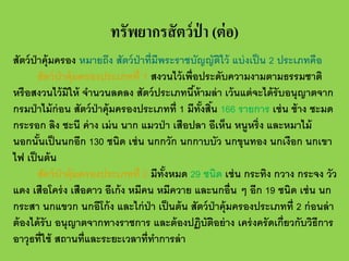 ทรัพยากรสั ตว์ ป่า (ต่ อ)
สัตว์ ป่าคุ้มครอง หมายถึง สัตว์ ป่าที่มีพระราชบัญญัตไว้ แบ่ งเป็ น 2 ประเภทคือ
ิ
สัตว์ ป่าคุ้มครองประเภทที่ 1 สงวนไว้ เพื่อประดับความงามตามธรรมชาติ
หรื อสงวนไว้ มให้ จํานวนลดลง สัตว์ ประเภทนีห้ามล่ า เว้ นแต่ จะได้ รับอนุญาตจาก
ิ
้
กรมป่ าไม้ ก่อน สัตว์ ป่าคุ้มครองประเภทที่ 1 มีทังสิน 166 รายการ เช่ น ช้ าง ชะมด
้ ้
กระรอก ลิง ชะนี ค่ าง เม่ น นาก แมวป่ า เสือปลา อีเห็น หนูหริ่ง และหมาไม้
นอกนันเป็ นนกอีก 130 ชนิด เช่ น นกกวัก นกกาบบัว นกขุนทอง นกเงือก นกเขา
้
ไฟ เป็ นต้ น
สัตว์ ป่าคุ้มครองประเภทที่ 2 มีทังหมด 29 ชนิด เช่ น กระทิง กวาง กระจง วัว
้
แดง เสือโคร่ ง เสือดาว อีเก้ ง หมีคน หมีควาย และนกอื่น ๆ อีก 19 ชนิด เช่ น นก
กระสา นกแขวก นกอีโก้ ง และไก่ ป่า เป็ นต้ น สัตว์ ป่าคุ้มครองประเภทที่ 2 ก่ อนล่ า
ต้ องได้ รับ อนุญาตจากทางราชการ และต้ องปฏิบัตอย่ าง เคร่ งครั ดเกี่ยวกับวิธีการ
ิ
อาวุธที่ใช้ สถานที่และระยะเวลาที่ทาการล่ า
ํ

 