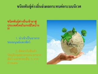 ชนิดพันธุ์ต่างถิ่นส่ งผลกระทบต่ อระบบนิเวศ
ชนิดพันธุ์ต่างถิ่นเข้ ามาสู่
ประเทศไทยในกรณีใดบ้ าง
??
1. นําเข้ าเป็ นอาหาร
ของมนุษย์ และสัตว์
2. ติดมากับสินค้ า
วัตถุดบอุตสาหกรรม อาหาร
ิ
สัตว์ และพาหะอื่น ๆ จาก
ต่ างแดน

 