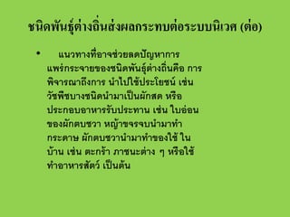 ชนิดพันธุ์ต่างถินส่ งผลกระทบต่ อระบบนิเวศ (ต่ อ)
่
•

แนวทางที่อาจช่ วยลดปั ญหาการ
แพร่ กระจายของชนิดพันธุ์ต่างถิ่นคือ การ
พิจารณาถึงการ นําไปใช้ ประโยชน์ เช่ น
วัชพืชบางชนิดนํามาเป็ นผักสด หรื อ
ประกอบอาหารรั บประทาน เช่ น ใบอ่ อน
ของผักตบชวา หญ้ าขจรจบนํามาทํา
กระดาษ ผักตบชวานํามาทําของใช้ ใน
บ้ าน เช่ น ตะกร้ า ภาชนะต่ าง ๆ หรื อใช้
ทําอาหารสัตว์ เป็ นต้ น

 