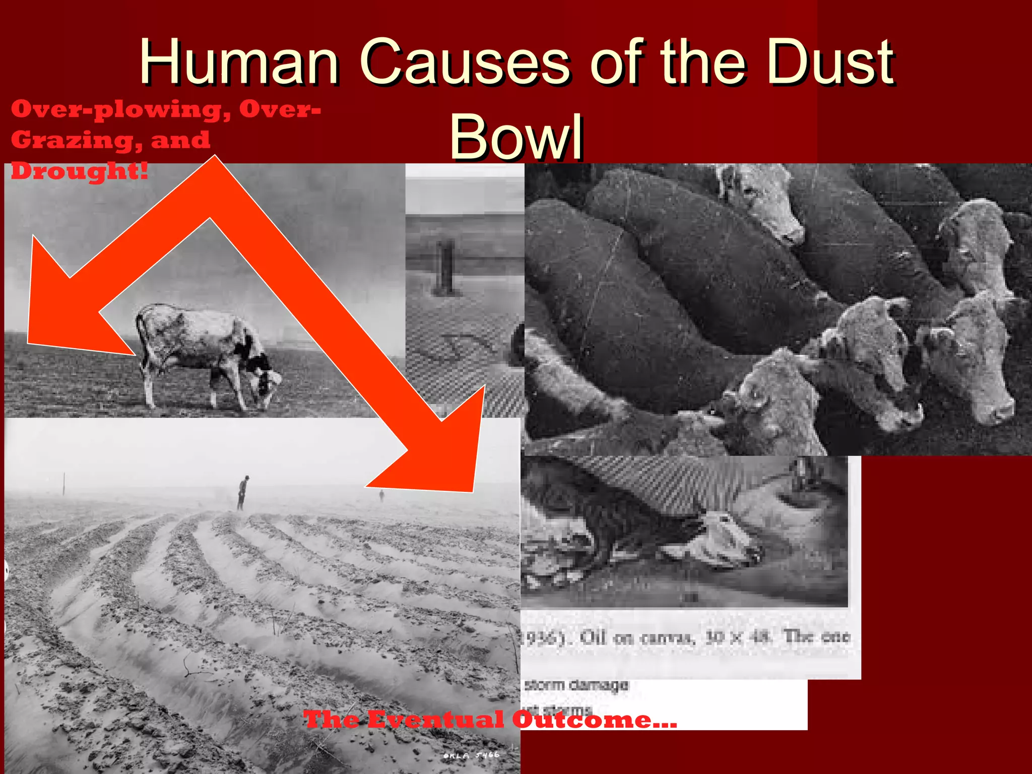 Human Causes of the Dust
Over-plowing, OverGrazing, and
Bowl
Drought!

Areas Hit By
The Dust Bowl

Problems
with
Overgrazing!

The Eventual Outcome…

 