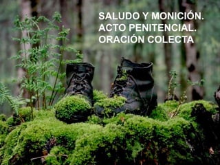 SALUDO Y MONICIÓN.
ACTO PENITENCIAL.
ORACIÓN COLECTA

 