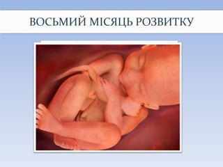 ВОСЬМИЙ МІСЯЦЬ РОЗВИТКУ
 