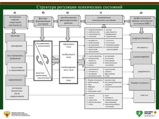 Структура регуляции психических состояний
 