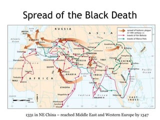 Spread of the Black Death 
1331 in NE China – reached Middle East and Western Europe by 1347 
 