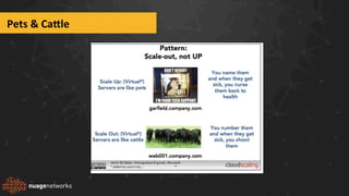 Pets	
  &	
  Ca5le	
  
 