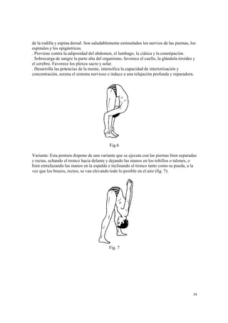 34
de la rodilla y espina dorsal. Son saludablemente estimulados los nervios de las piernas, los
espinales y los epigástricos.
. Previene contra la adiposidad del abdomen, el lumbago, la ciática y la constipación.
. Sobrecarga de sangre la parte alta del organismo, favorece el cuello, la glándula tiroides y
el cerebro. Favorece los plexos sacro y solar.
. Desarrolla las potencias de la mente, intensifica la capacidad de interiorización y
concentración, serena el sistema nervioso e induce a una relajación profunda y reparadora.
Fig.6
Variante: Esta postura dispone de una variante que se ejecuta con las piernas bien separadas
y rectas, echando el tronco hacia delante y dejando las manos en los tobillos o talones, o
bien entrelazando las manos en la espalda e inclinando el tronco tanto como se pueda, a la
vez que los brazos, rectos, se van elevando todo lo posible en el aire (fig. 7).
Fig. 7
 