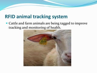 RFID animal tracking system
 Cattle and farm animals are being tagged to improve
tracking and monitoring of health.
 