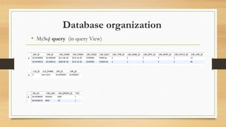 Database organization
• MySql query (in query View)
 