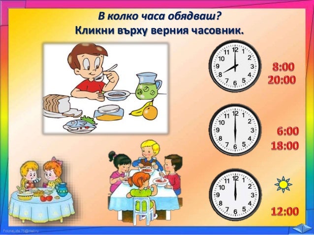 23. Дневен Режим - РК, Просвета - В. П.