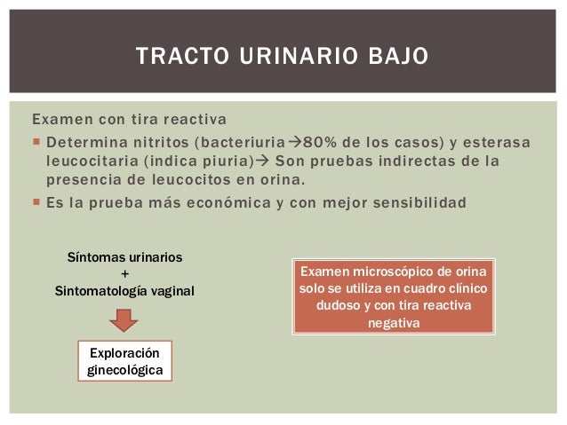 23. GPC IVU 23. GPC IVU