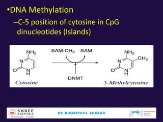 •DNA Methylation
–C-5 position of cytosine in CpG
dinucleotides (Islands)
 