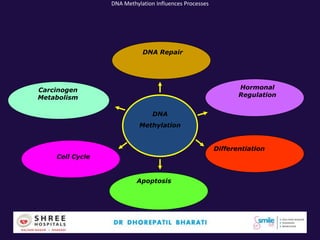 DNA Methylation Influences Processes
DNA Repair
Hormonal
Regulation
Carcinogen
Metabolism
Apoptosis
Differentiation
Cell Cycle
DNA
Methylation
 