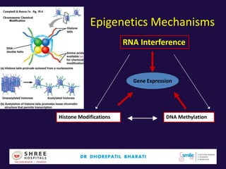 Epigenetics Mechanisms
Gene Expression
RNA Interference
Histone Modifications DNA Methylation
 