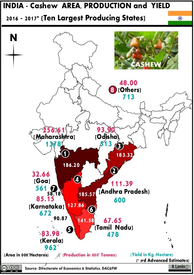 Top 10 Cashew Nut Producing States In India Maps Of India Images and