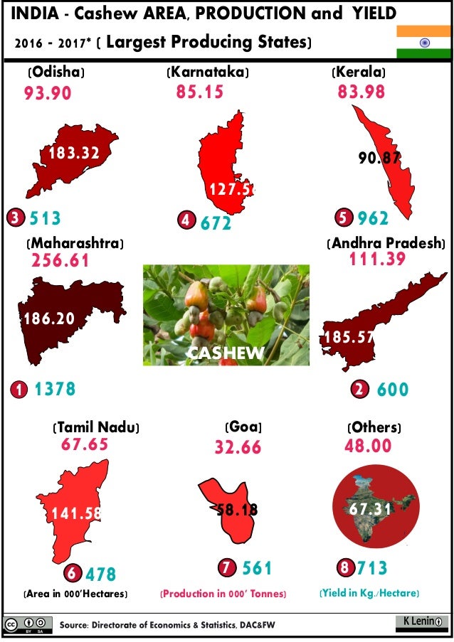 23.3 India Cashew Area Production and Yield 2016 2017