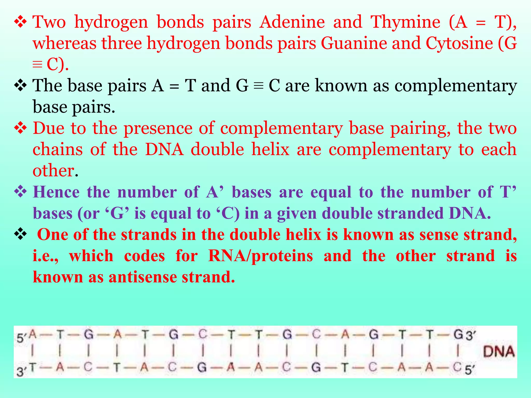 16
 Two hydrogen bonds pairs Adenine and Thymine (A = T),
whereas three hydrogen bonds pairs Guanine and Cytosine (G
≡ C).
 The base pairs A = T and G ≡ C are known as complementary
base pairs.
 Due to the presence of complementary base pairing, the two
chains of the DNA double helix are complementary to each
other.
 Hence the number of A’ bases are equal to the number of T’
bases (or ‘G’ is equal to ‘C) in a given double stranded DNA.
 One of the strands in the double helix is known as sense strand,
i.e., which codes for RNA/proteins and the other strand is
known as antisense strand.
 