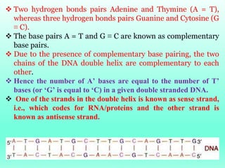 16
 Two hydrogen bonds pairs Adenine and Thymine (A = T),
whereas three hydrogen bonds pairs Guanine and Cytosine (G
≡ C)...