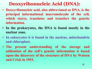 Deoxyribonucleic Acid (DNA):
• Deoxyribonucleic acid, also abbreviated as DNA, is the
principal informational macromolecul...