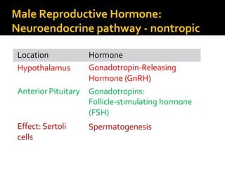 Hormonal control of reproduction in male and female mammals | PPTX