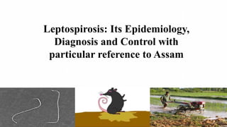 Leptospirosis: Its Epidemiology,
Diagnosis and Control with
particular reference to Assam
 