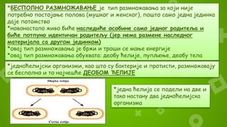 *БЕСПОЛНО РАЗМНОЖАВАЊЕ је тип размножавања за који није
потребно постојање полова (мушког и женског), пошто само једна јединка
даје потомство
*новонастало живо биће наследиће особине само једног родитеља и
биће потпуно идентичан родитељу (јер нема размене наследног
материјала са другом јединком)
*овај тип размножавања је бржи и троши се мање енергије
*овај тип размножавања обухвата: деобу ћелије, пупљење, деобу тела
*једноћелијски организми, као што су бактерије и протисти, размножавају
се бесполно и то најчешће ДЕОБОМ ЋЕЛИЈЕ
*jедна ћелија се подели на две и
тако настану два једноћелијска
организма
 