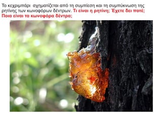 Το κεχριμπάρι σχηματίζεται από τη συμπίεση και τη συμπύκνωση της
ρητίνης των κωνοφόρων δέντρων. Τι είναι η ρητίνη; Έχετε δει ποτέ;
Ποια είναι τα κωνοφόρα δέντρα;
 
