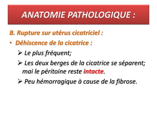 ANATOMIE PATHOLOGIQUE :
B. Rupture sur utérus cicatriciel :
• Déhiscence de la cicatrice :
 Le plus fréquent;
 Les deux berges de la cicatrice se séparent;
mai le péritoine reste intacte.
 Peu hémorragique à cause de la fibrose.
 