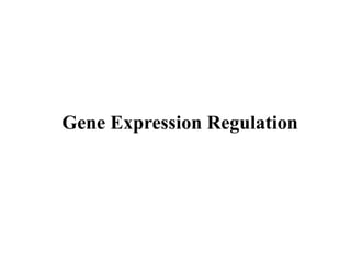 Gene Expression Regulation
 