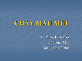 CHẢY MÁU MŨI
Ts. Phạm Bích Đào
Bộ môn TMH
Đại học Y Hà Nội
 