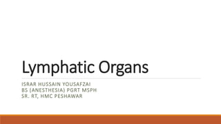 Lymphatic Organs
ISRAR HUSSAIN YOUSAFZAI
BS (ANESTHESIA) PGRT MSPH
SR. RT, HMC PESHAWAR
 