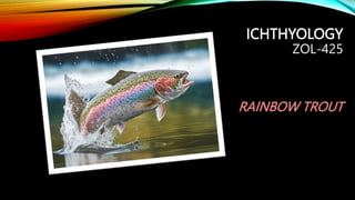 ICHTHYOLOGY
ZOL-425
RAINBOW TROUT
 