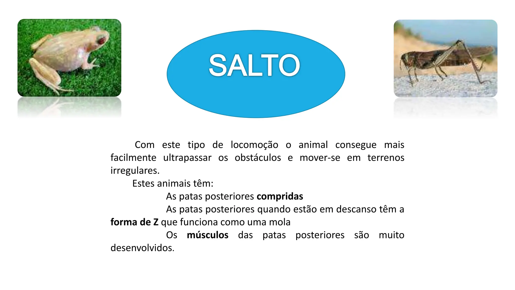Locomoção dos animais - Ciências Naturais | PPTX