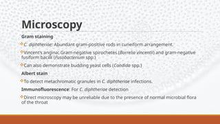 Fuiform Rods 23.Infectionsoftherespiratorysystem(A).pptx