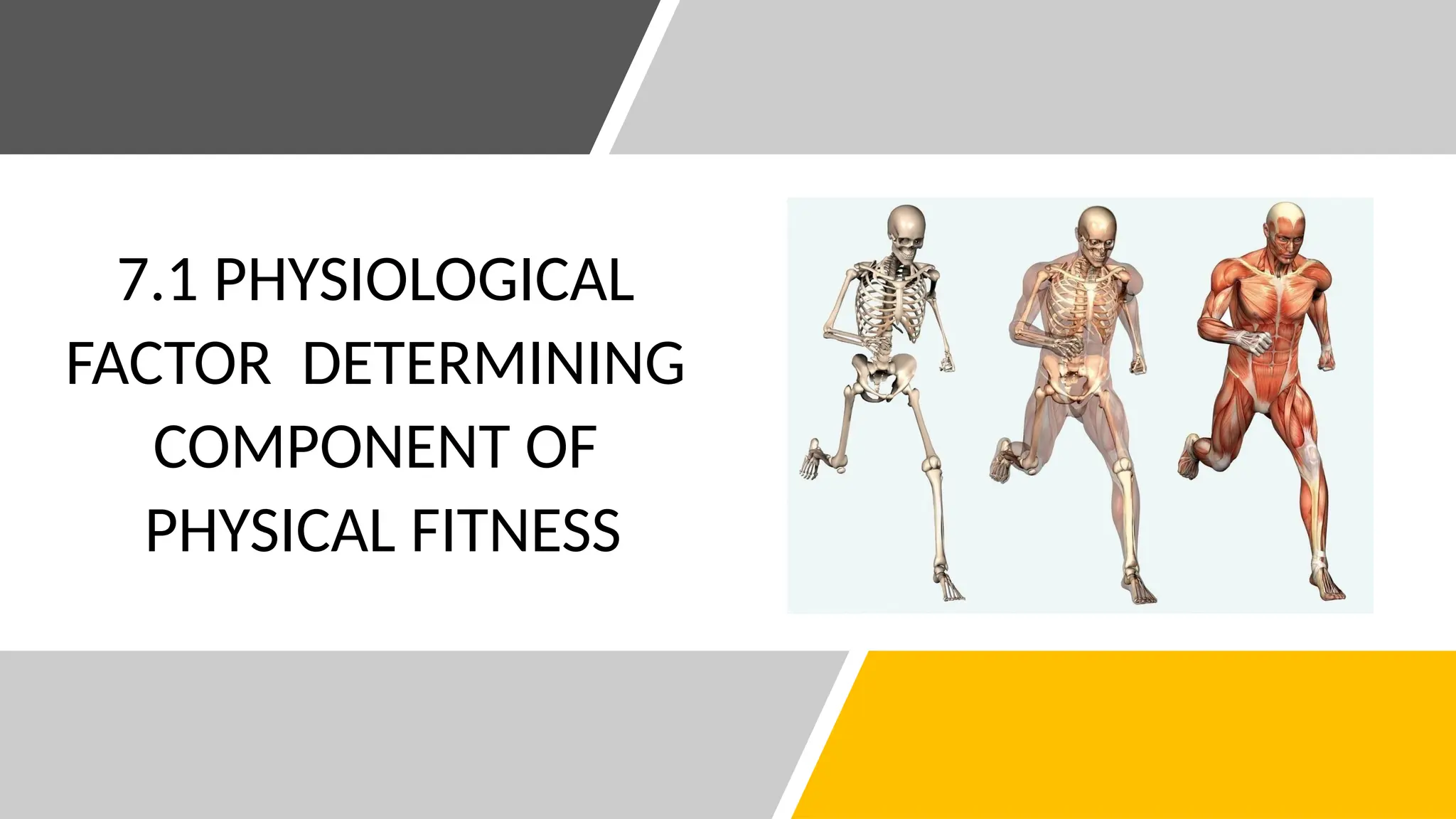 7.1 PHYSIOLOGICAL
FACTOR DETERMINING
COMPONENT OF
PHYSICAL FITNESS
 