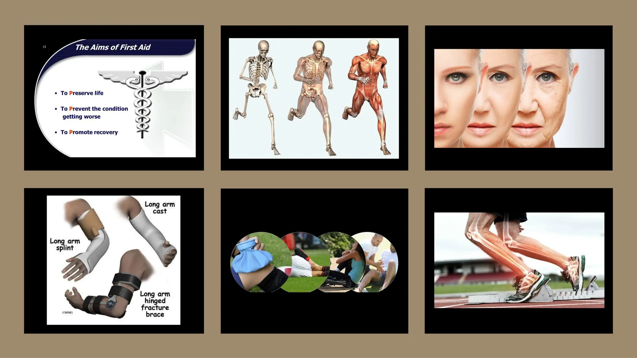 Physical education notes class ncert 12th