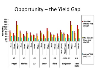 Opportunity – the Yield Gap
 