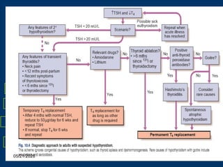 Comprehensive Overview of Thyroid Disorders: Diagnosis and Management ...