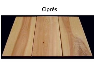 Ciprés
 